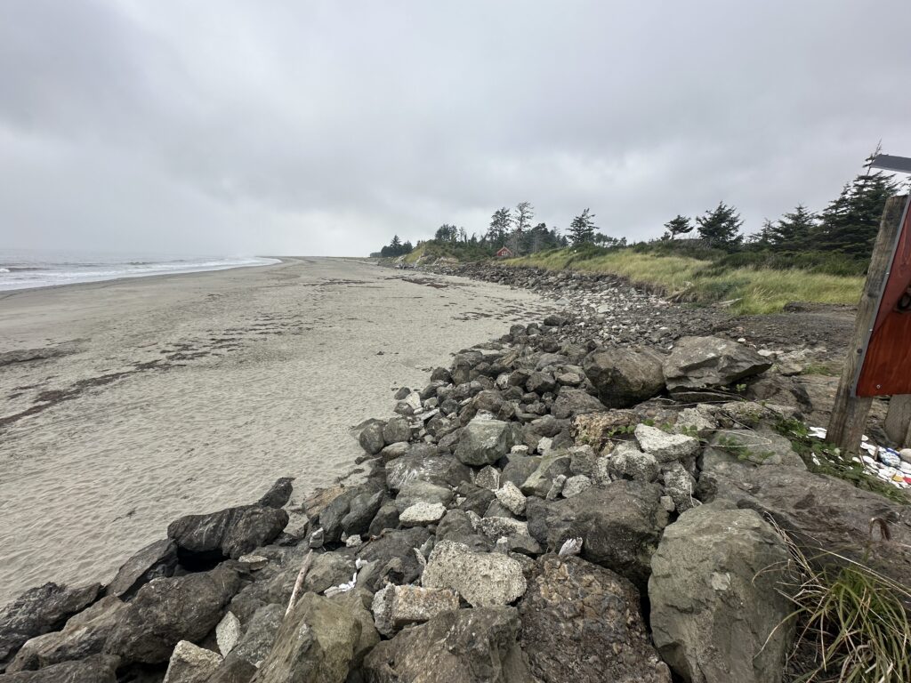 a rocky beach with trees and a body of water (MyCoast AI)