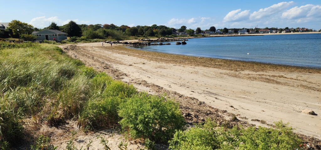 a sandy beach with grass and water (MyCoast AI)