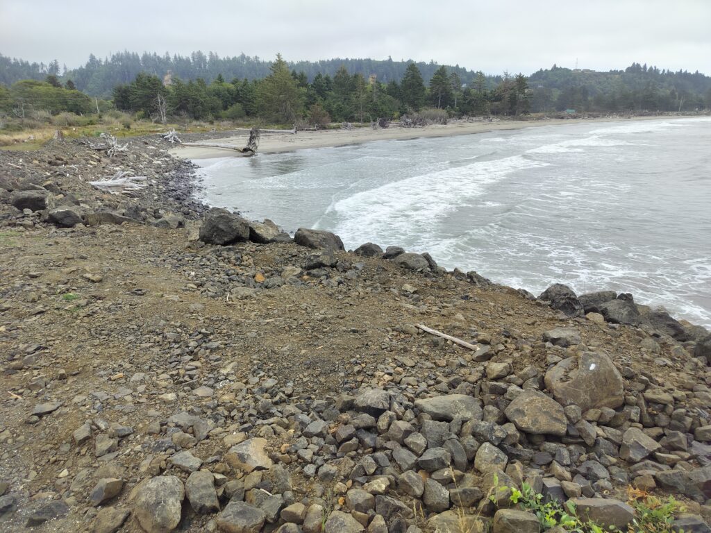 a rocky beach with a body of water and trees in the background (MyCoast AI)