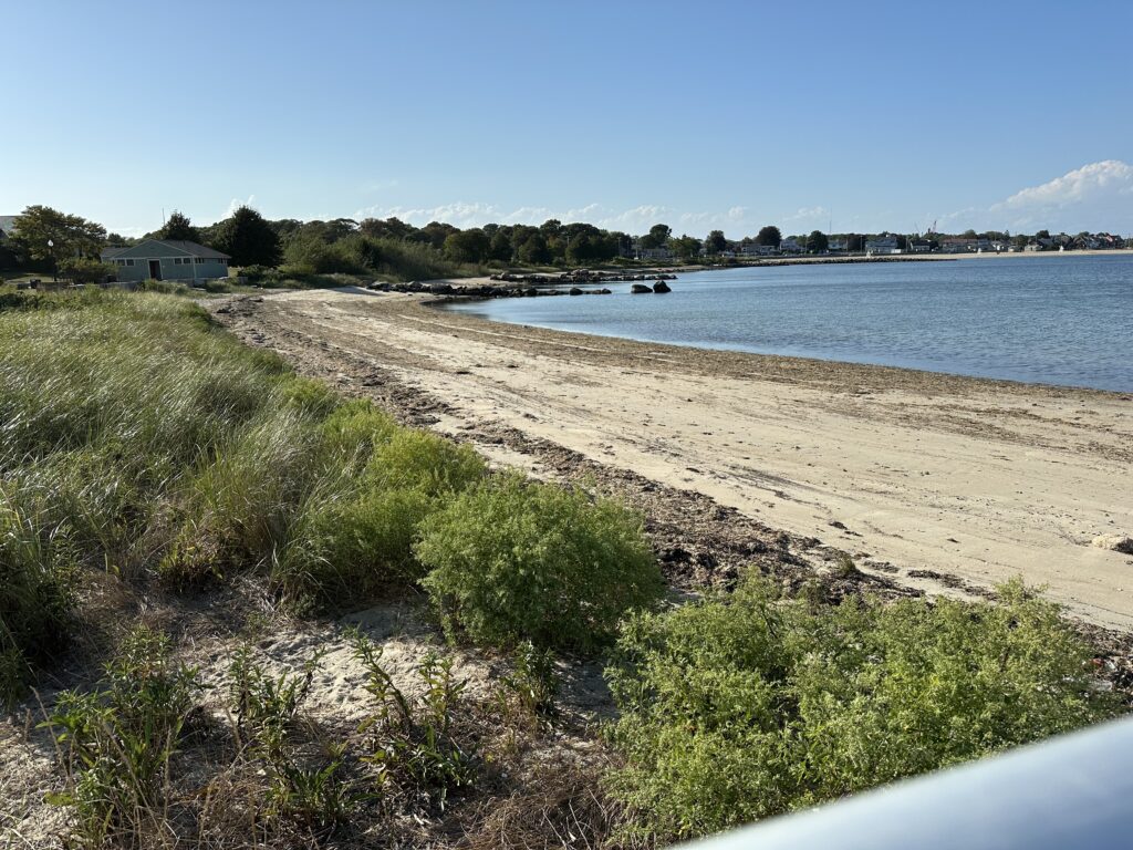 a sandy beach with a boat (MyCoast AI)