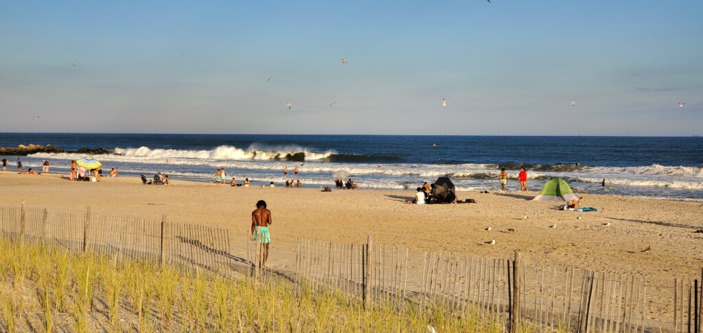 a group of people at the beach (MyCoast AI)