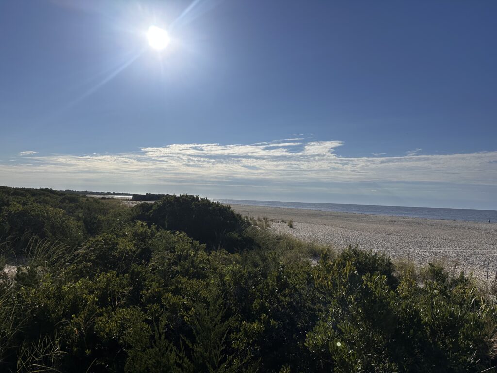 a beach with trees and the sun (MyCoast AI)
