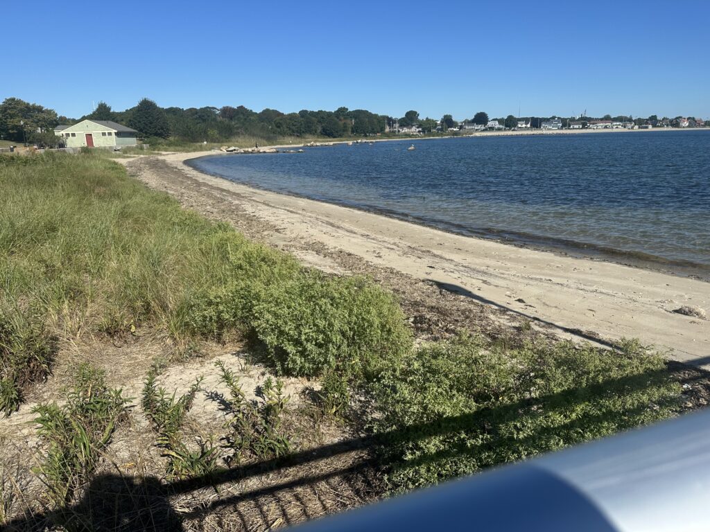 a sandy beach with grass and water (MyCoast AI)