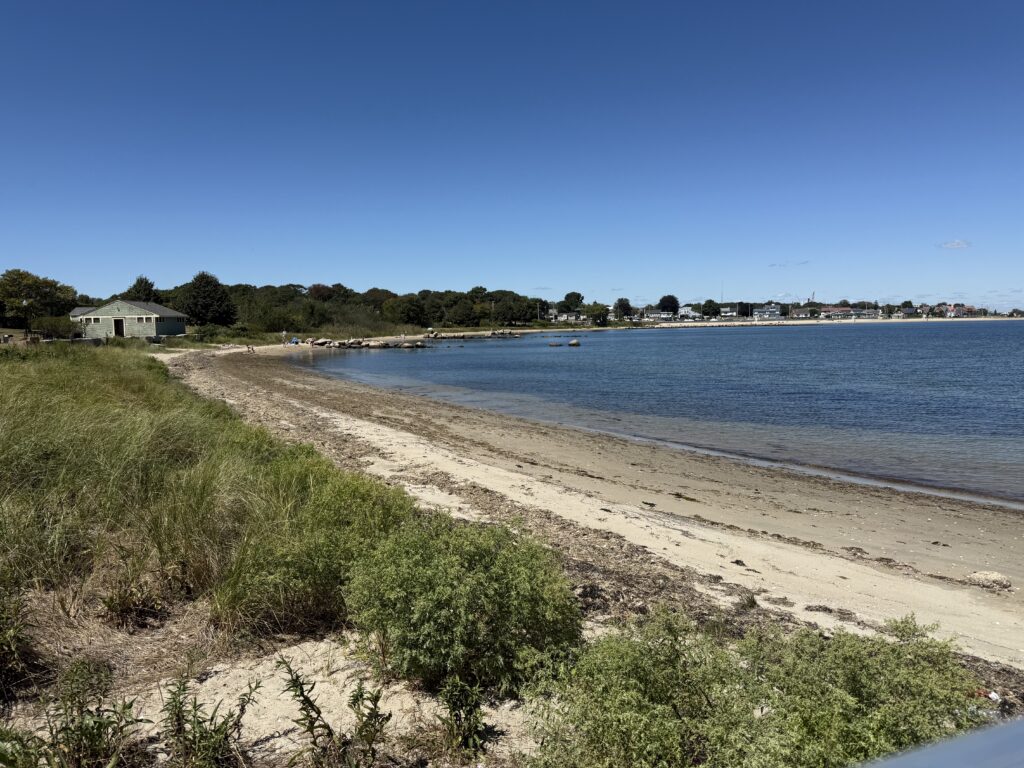 a beach with a body of water (MyCoast AI)