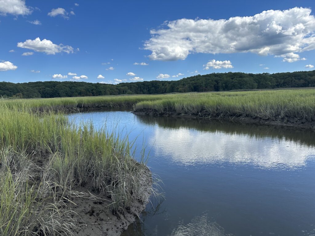 a body of water with grass and trees around it (MyCoast AI)