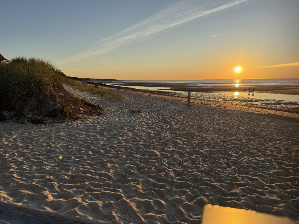 a sandy beach with the sun setting (MyCoast AI)