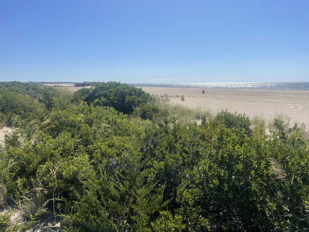 a large field with trees (MyCoast AI)