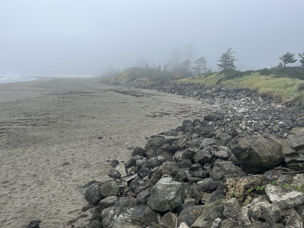 a rocky beach with trees in the background (MyCoast AI)