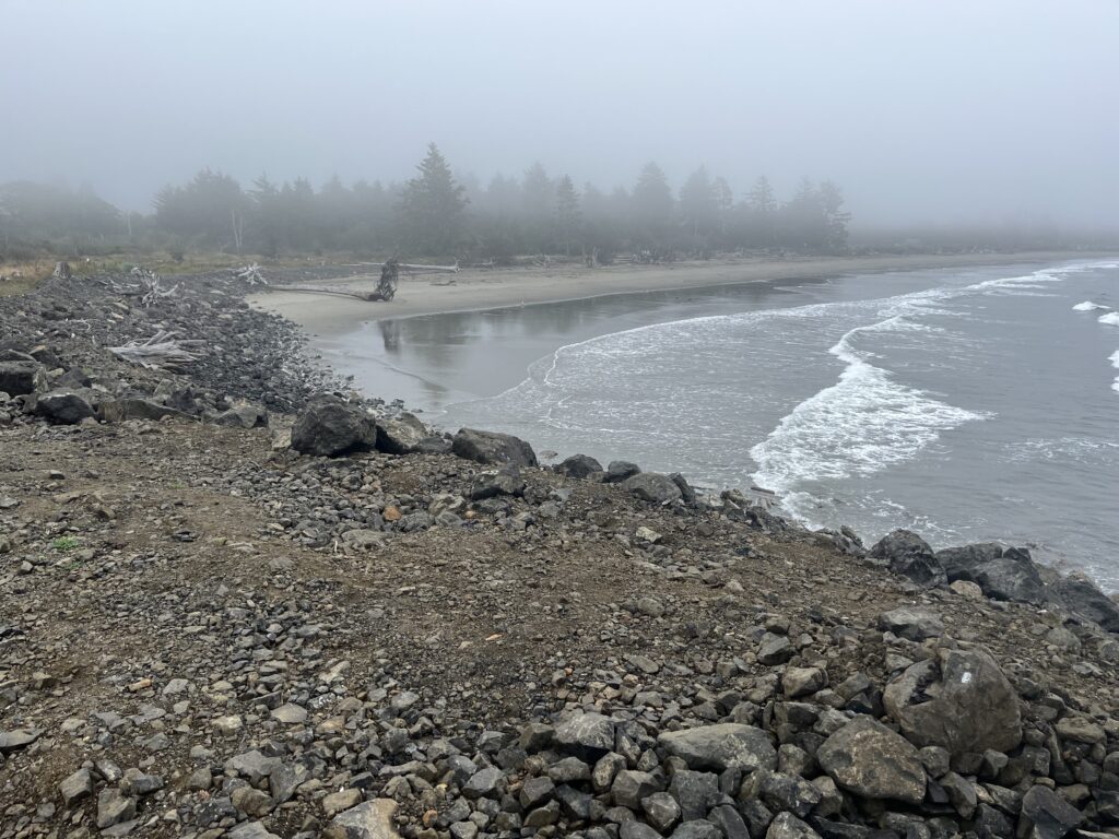 a rocky beach with a body of water and trees in the background (MyCoast AI)