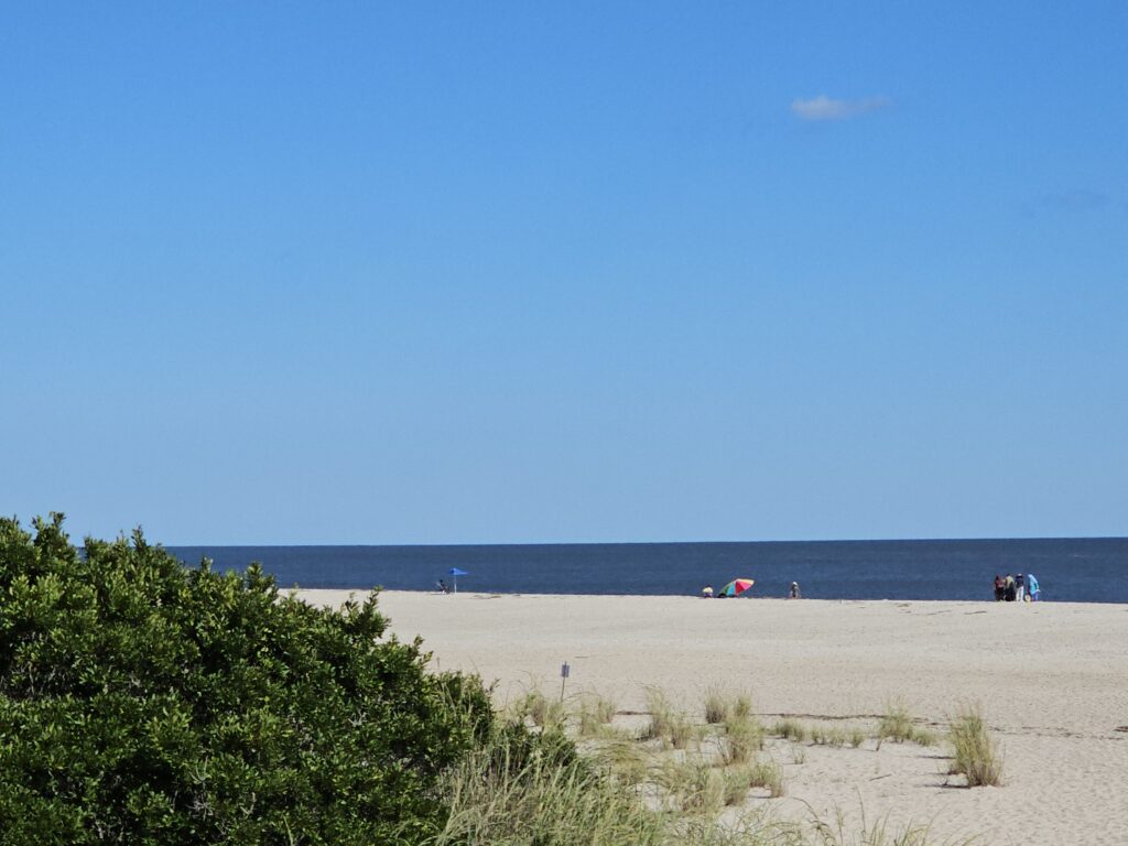 a beach with people on it (MyCoast AI)