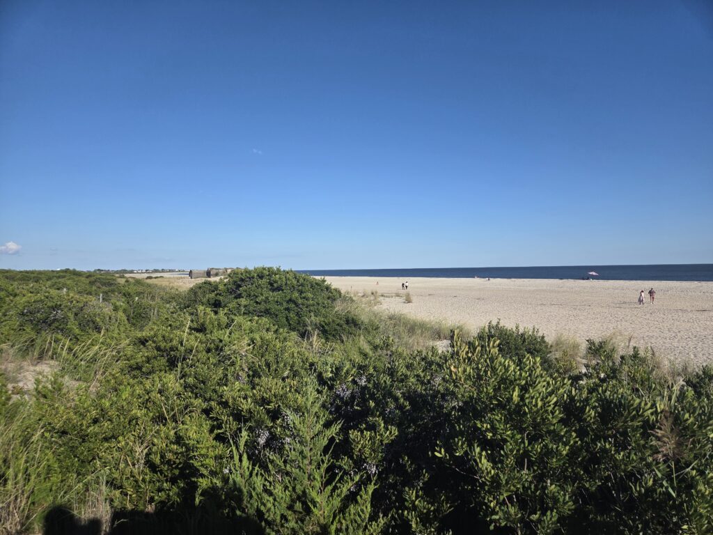 a group of people walking on a beach (MyCoast AI)