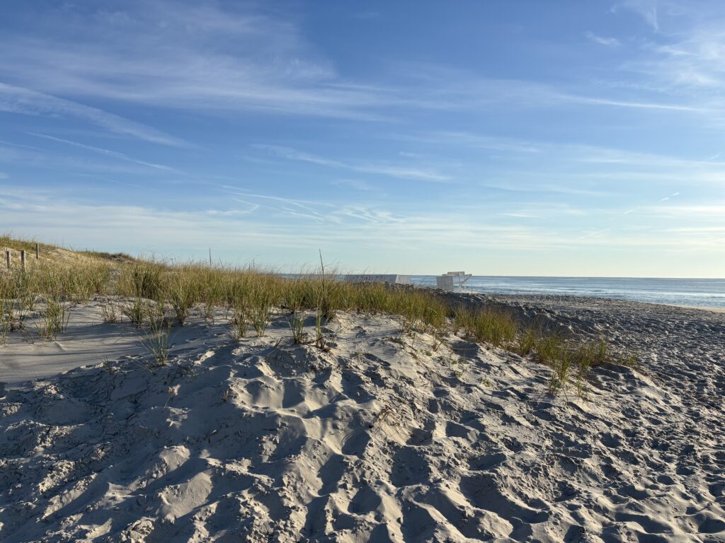 a sandy beach with plants and water in the background (MyCoast AI)