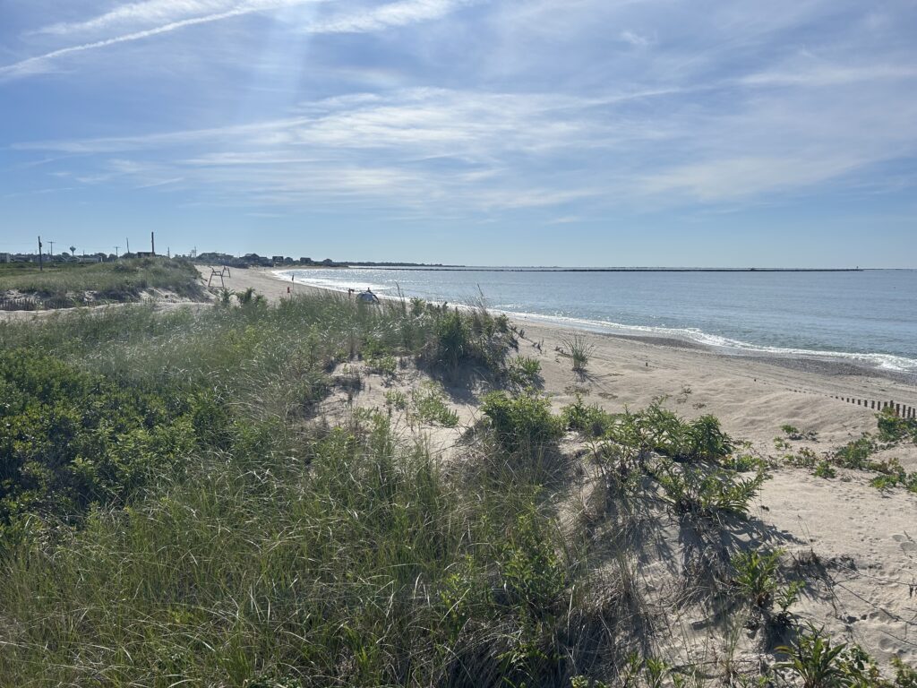 a beach with bushes and trees (MyCoast AI)