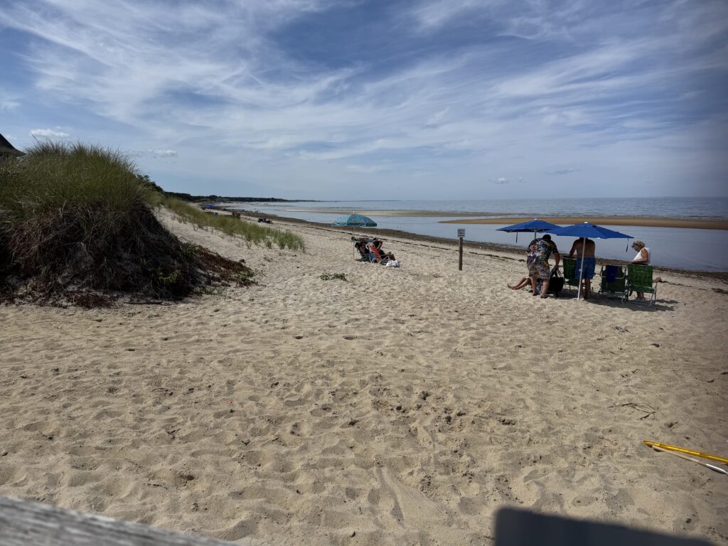 people sitting on a beach (MyCoast AI)