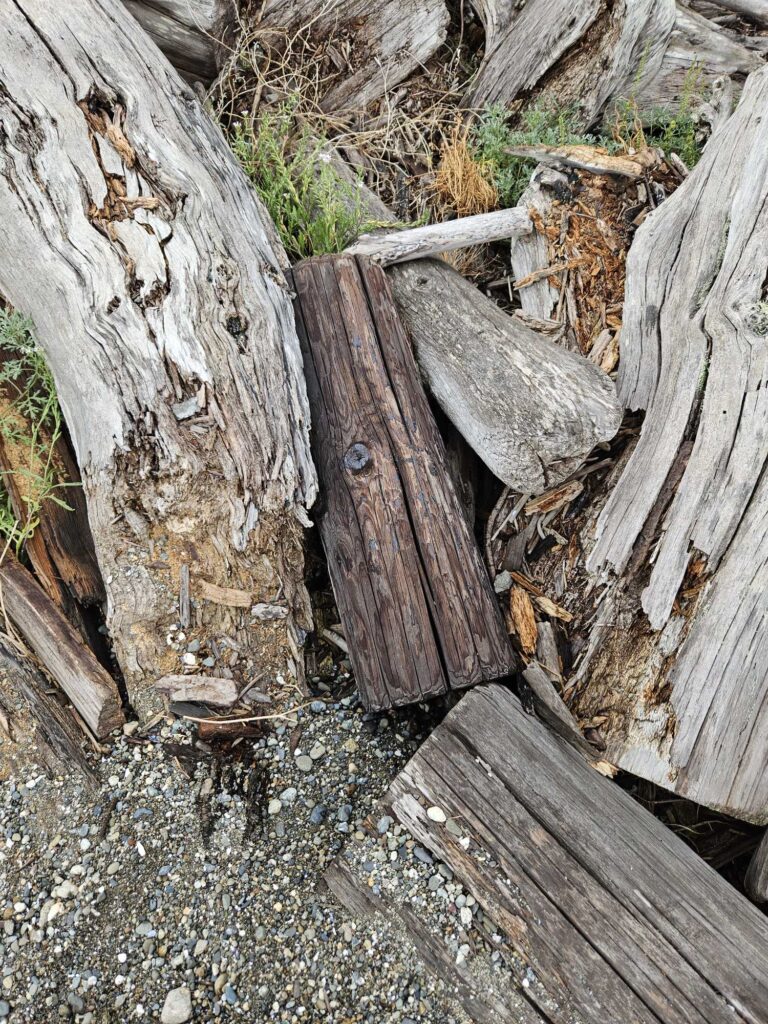 a group of logs (MyCoast AI)
