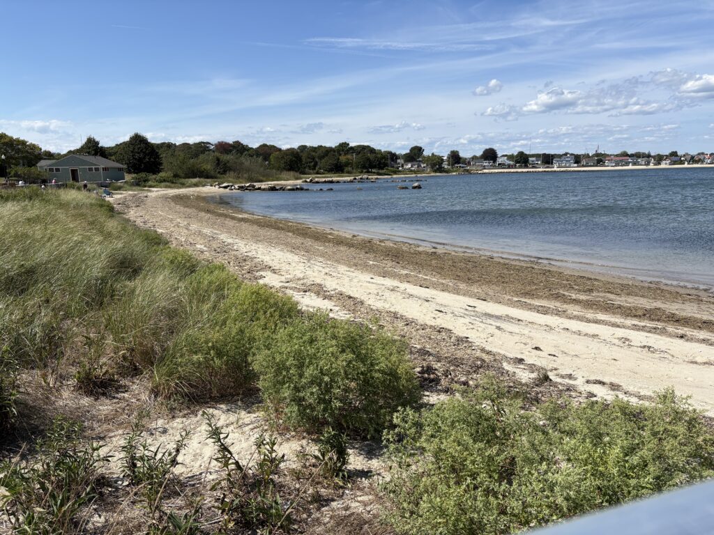 a beach with a body of water (MyCoast AI)