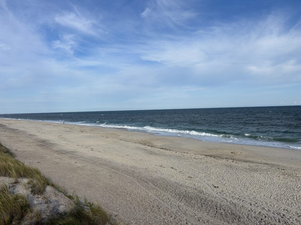 a sandy beach with waves crashing on it (MyCoast AI)