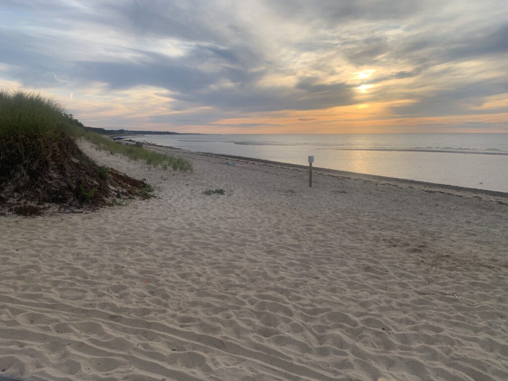 a sandy beach with a body of water in the background (MyCoast AI)