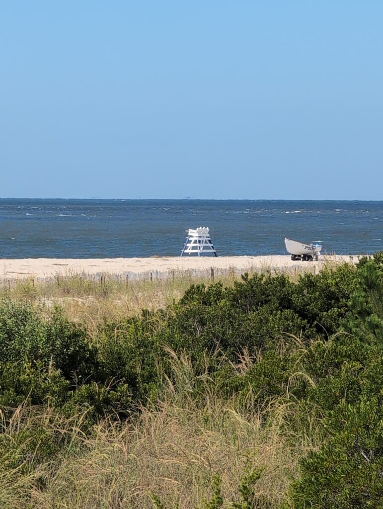 a beach with chairs and a body of water in the background (MyCoast AI)