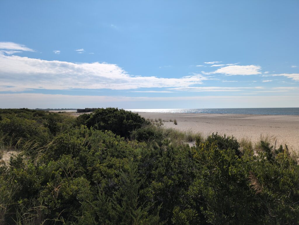 a landscape with trees and a body of water in the background (MyCoast AI)
