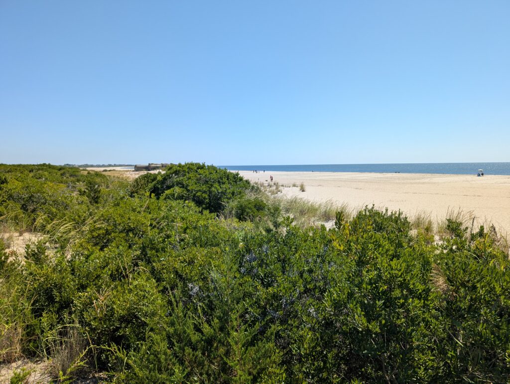 a landscape with trees and a body of water in the background (MyCoast AI)