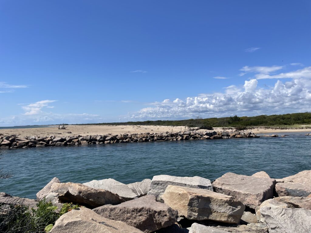 a rocky beach with a body of water in the background (MyCoast AI)
