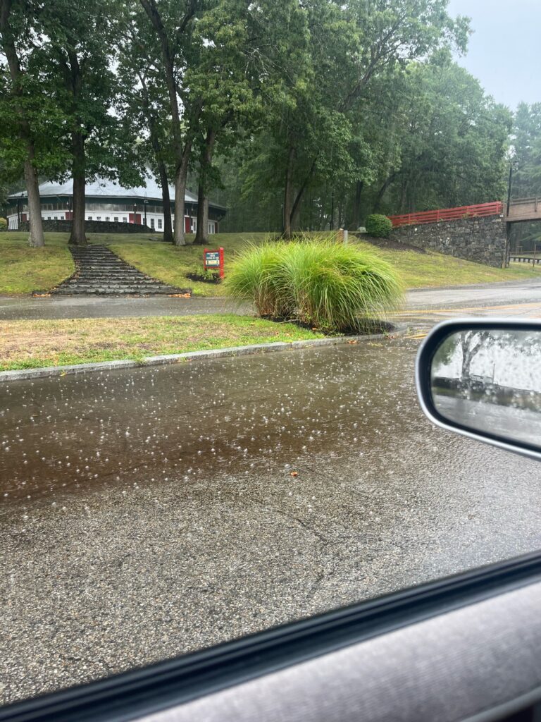 a car windshield with a bush and trees in the background (MyCoast AI)