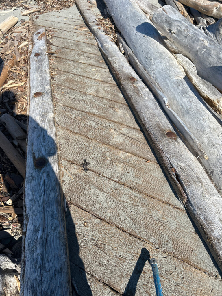 a close-up of some wood (MyCoast AI)
