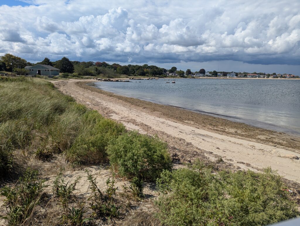 a beach with a body of water and grass on the side (MyCoast AI)