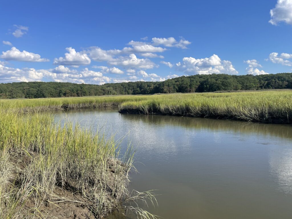 a body of water with grass and trees around it (MyCoast AI)