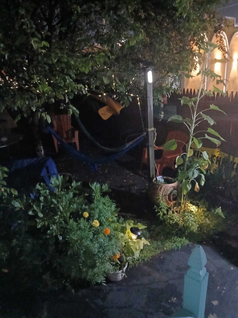 a garden with a lamp post (MyCoast AI)