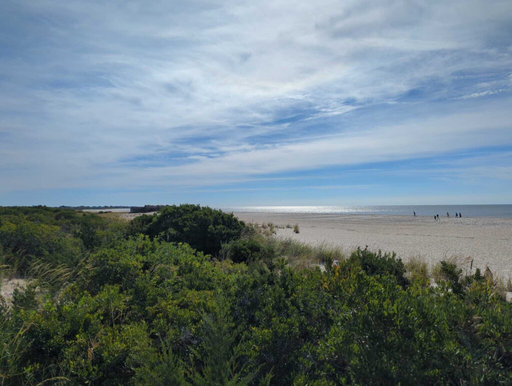 a beach with trees and bushes (MyCoast AI)