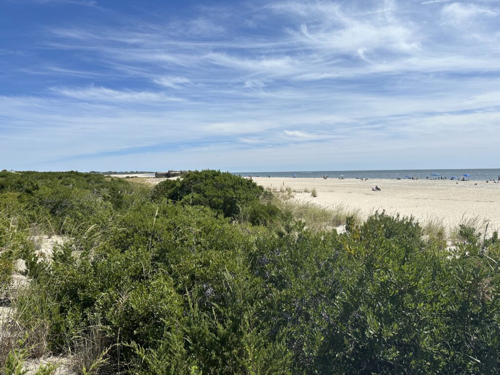 a beach with trees and bushes (MyCoast AI)