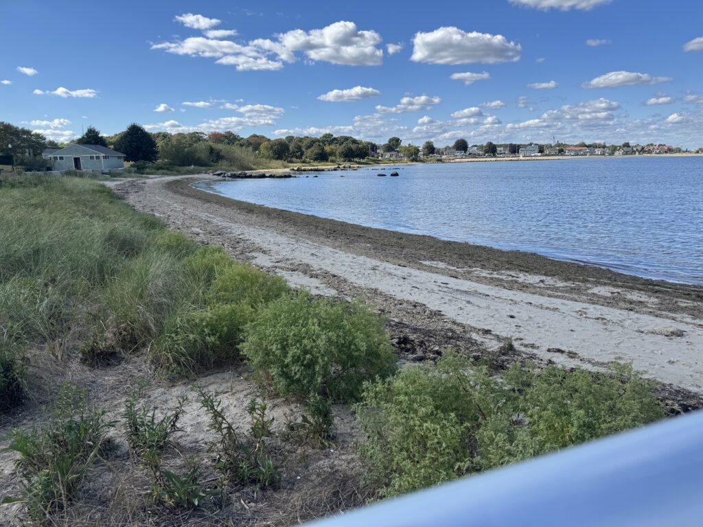 a body of water with grass and trees around it (MyCoast AI)
