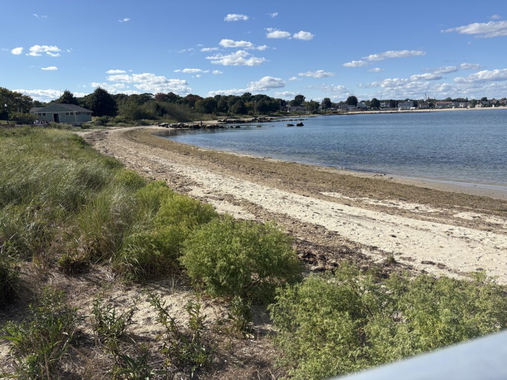 a beach with a boat in the water (MyCoast AI)
