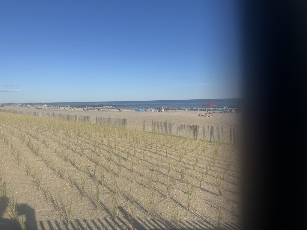 a field with a fence and a beach in the background (MyCoast AI)
