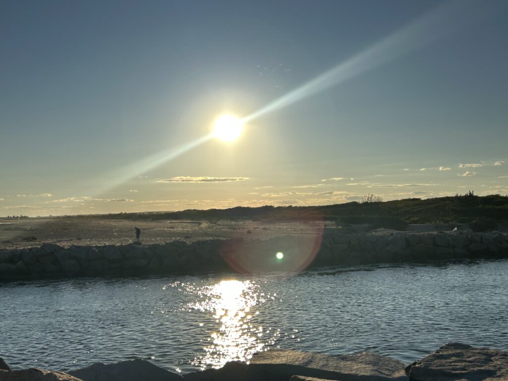 a boat in the water (MyCoast AI)