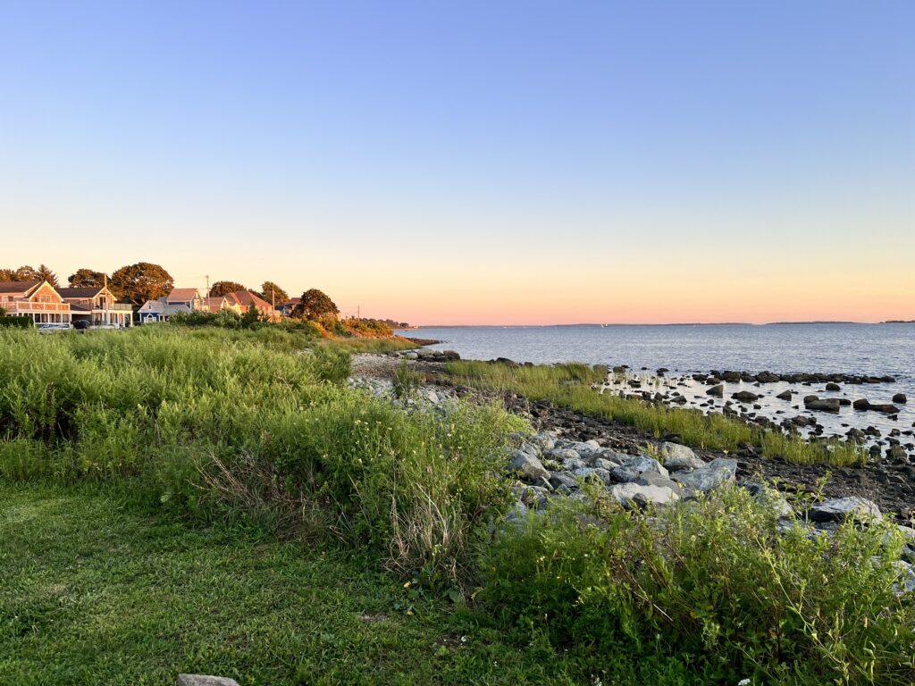 a grassy area next to a body of water (MyCoast AI)