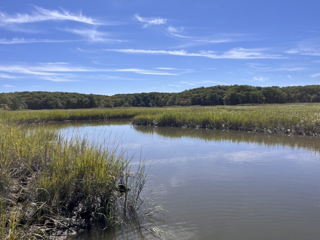 a body of water with grass and trees around it (MyCoast AI)