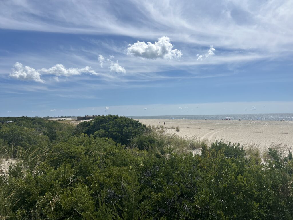 a landscape with trees and a body of water in the background (MyCoast AI)