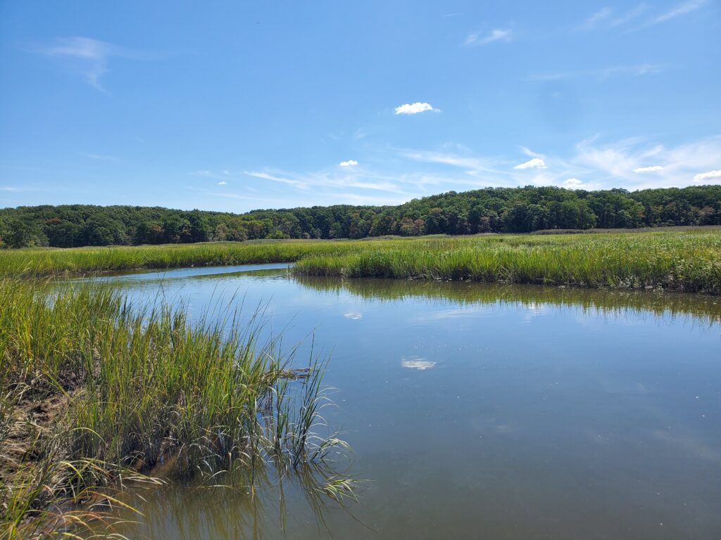 a body of water with grass and trees around it (MyCoast AI)