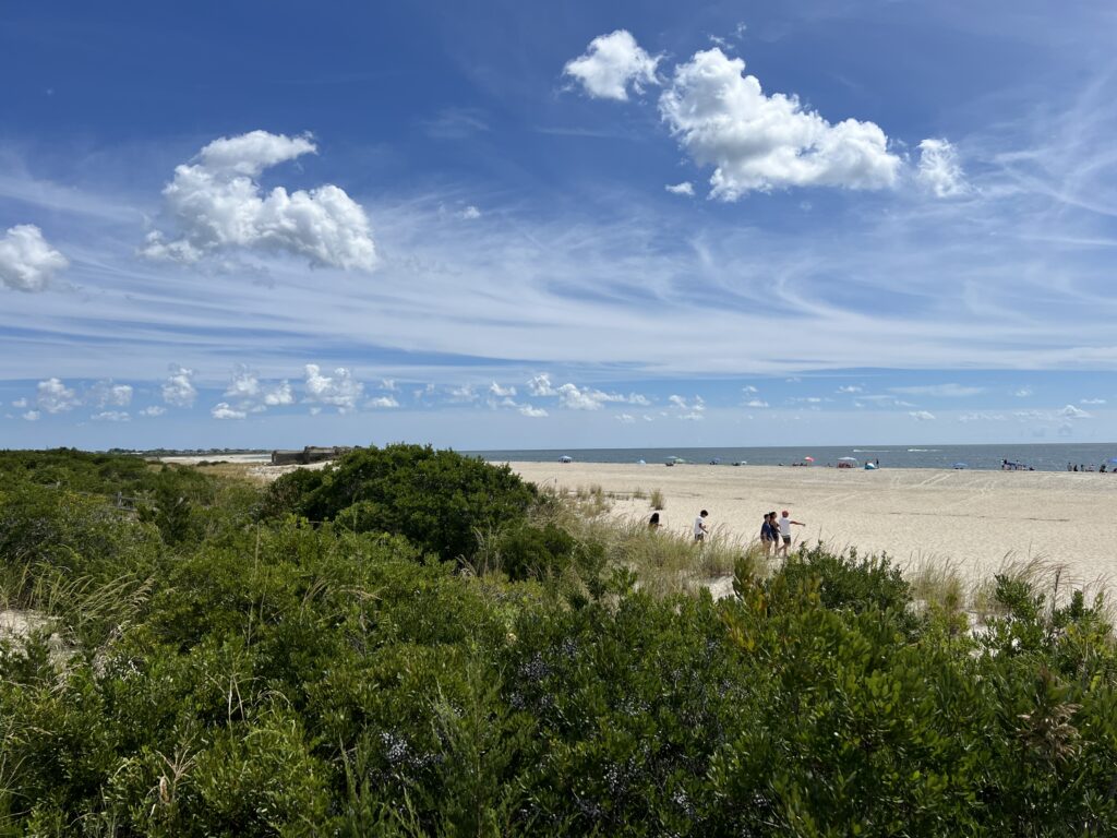 a group of people walking on a beach (MyCoast AI)