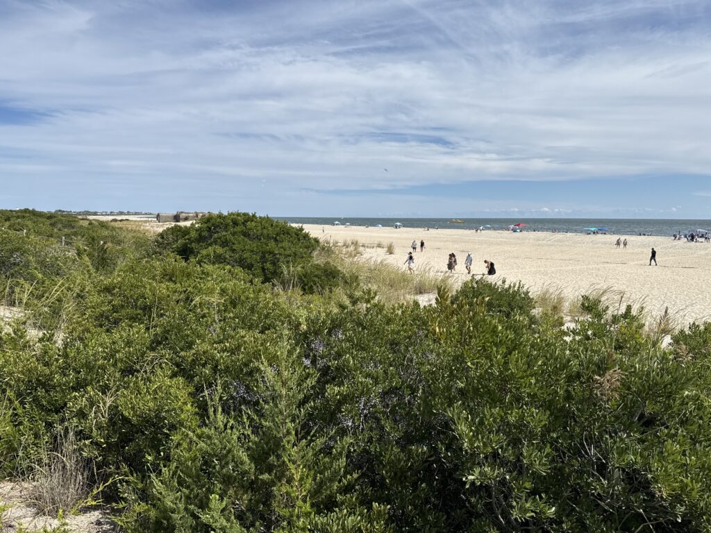 a group of people walking on a beach (MyCoast AI)