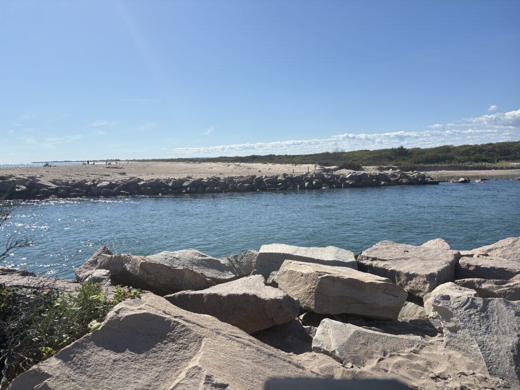 a rocky beach with a body of water in the background (MyCoast AI)