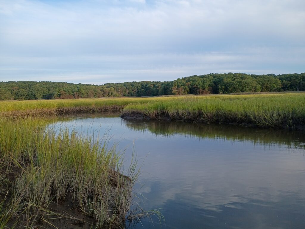 a body of water with grass and trees around it (MyCoast AI)