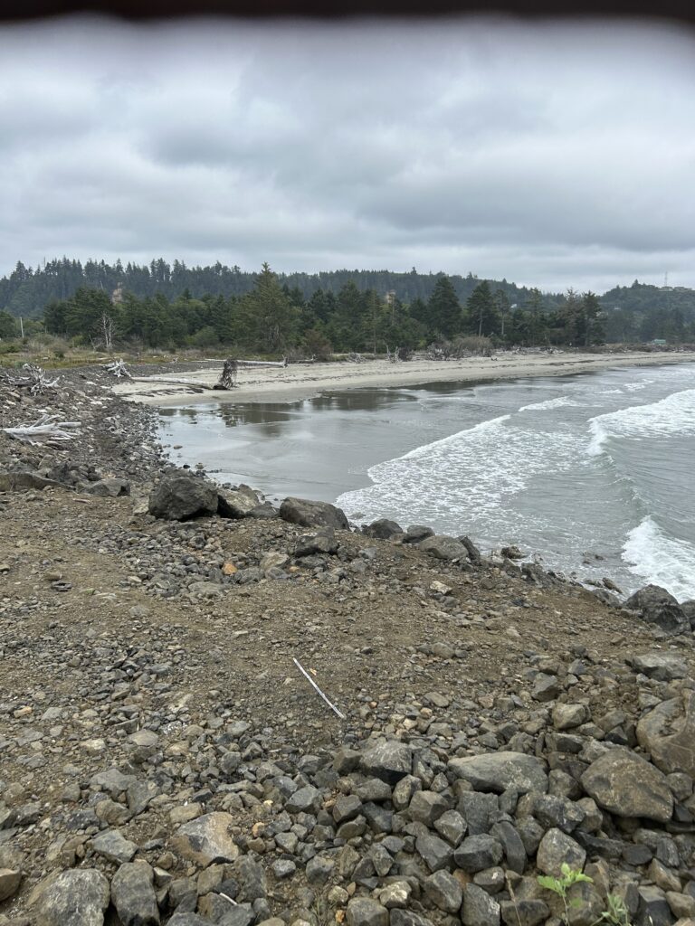 a rocky beach with trees in the background (MyCoast AI)