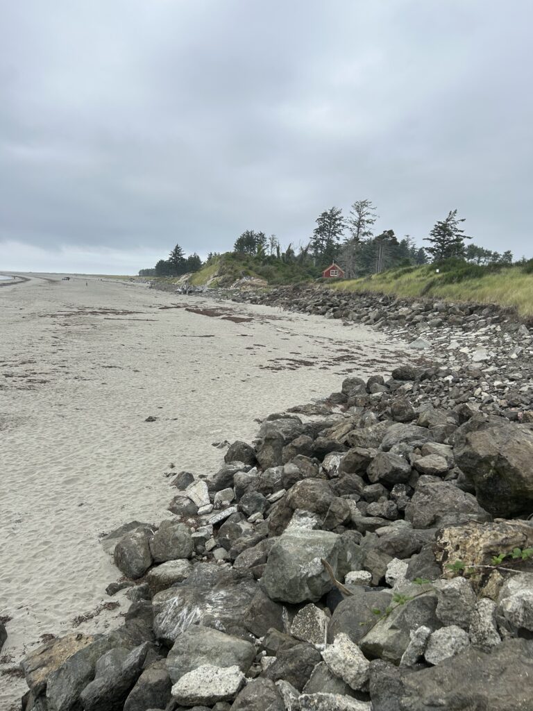 a rocky beach with trees in the background (MyCoast AI)