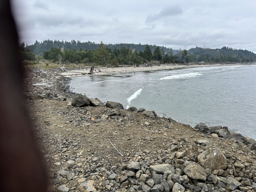a rocky beach with a body of water and trees in the background (MyCoast AI)