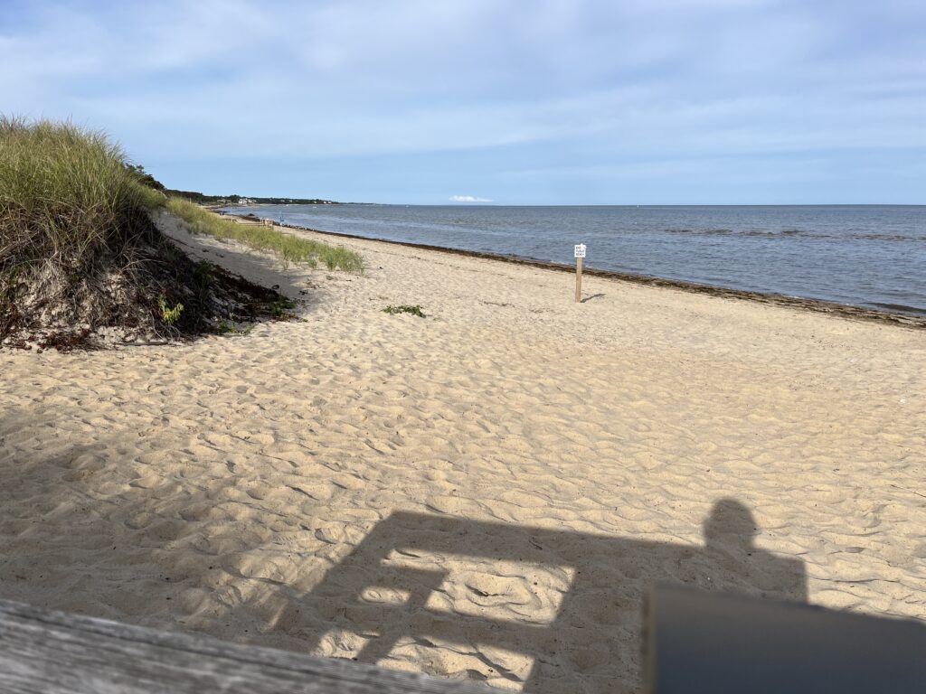 a sandy beach with a white pole (MyCoast AI)