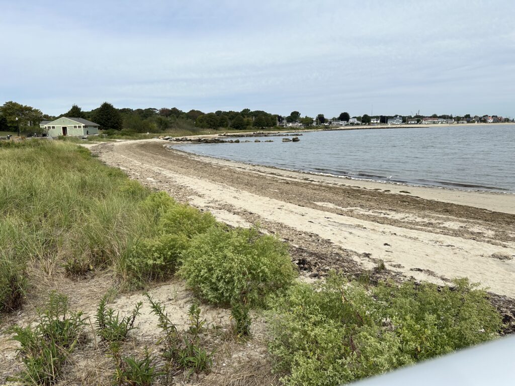 a sandy beach with grass and water (MyCoast AI)